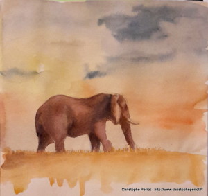 Croquis Elephant
